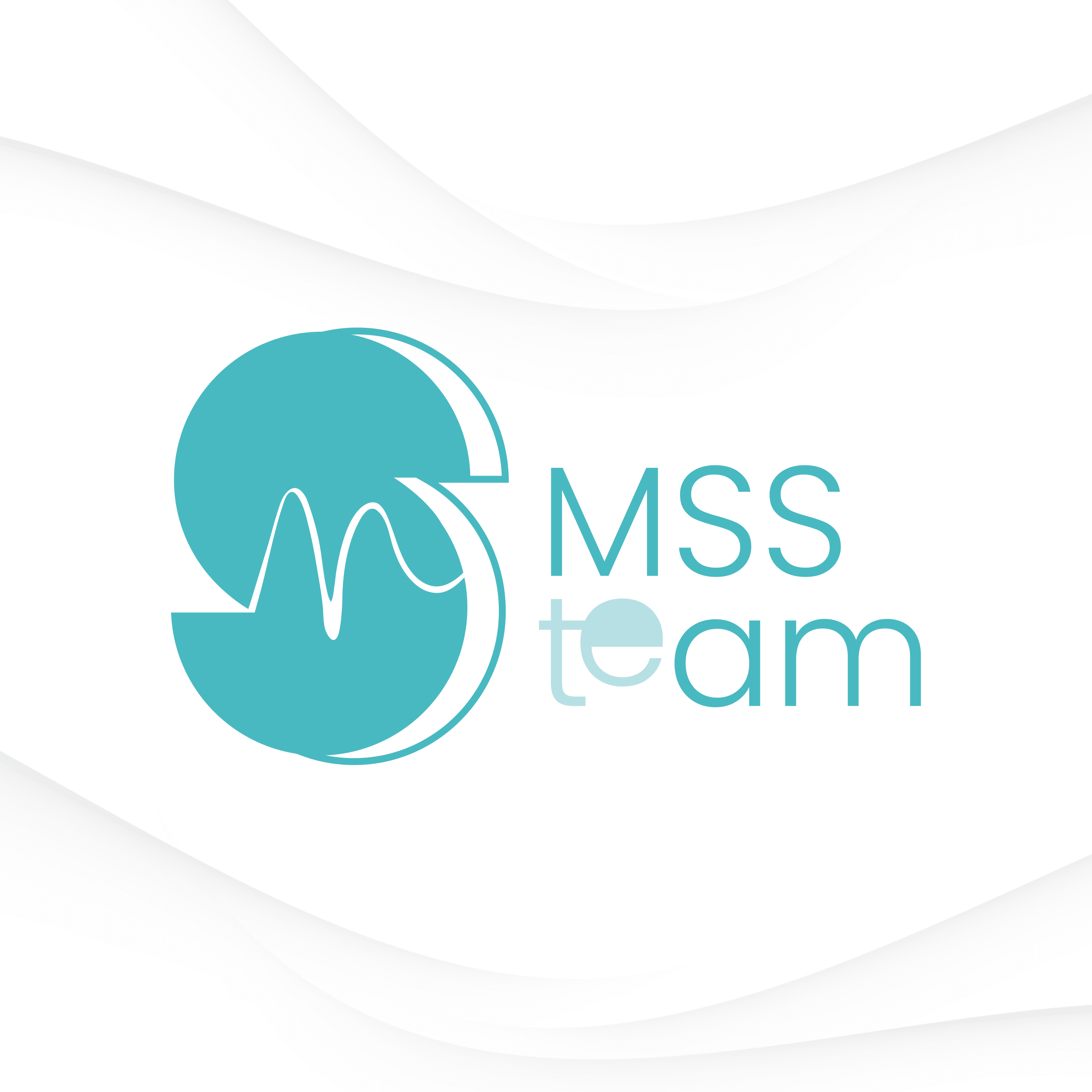 MSS Team Logo